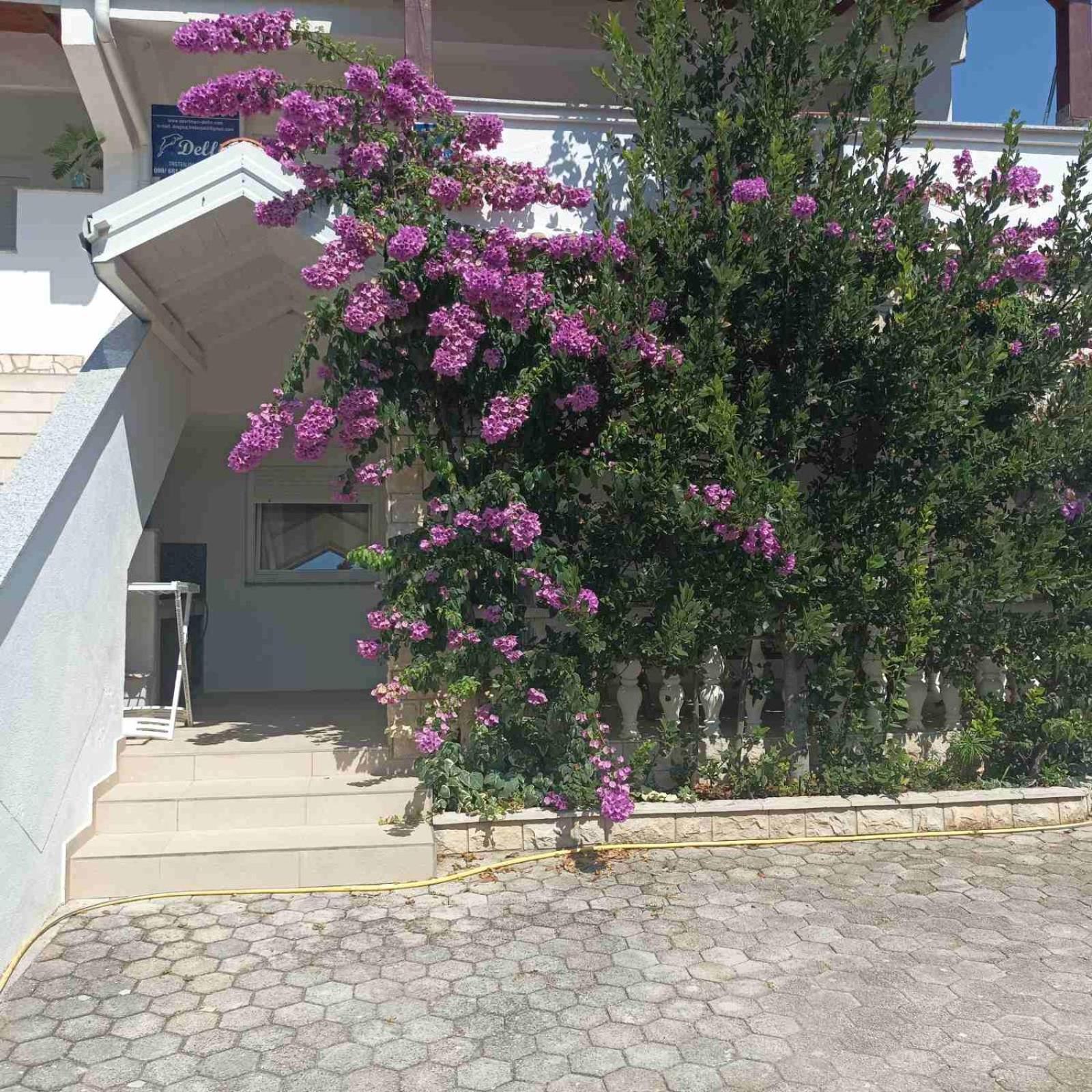 Apartments Vir Delfin Zewnętrze zdjęcie